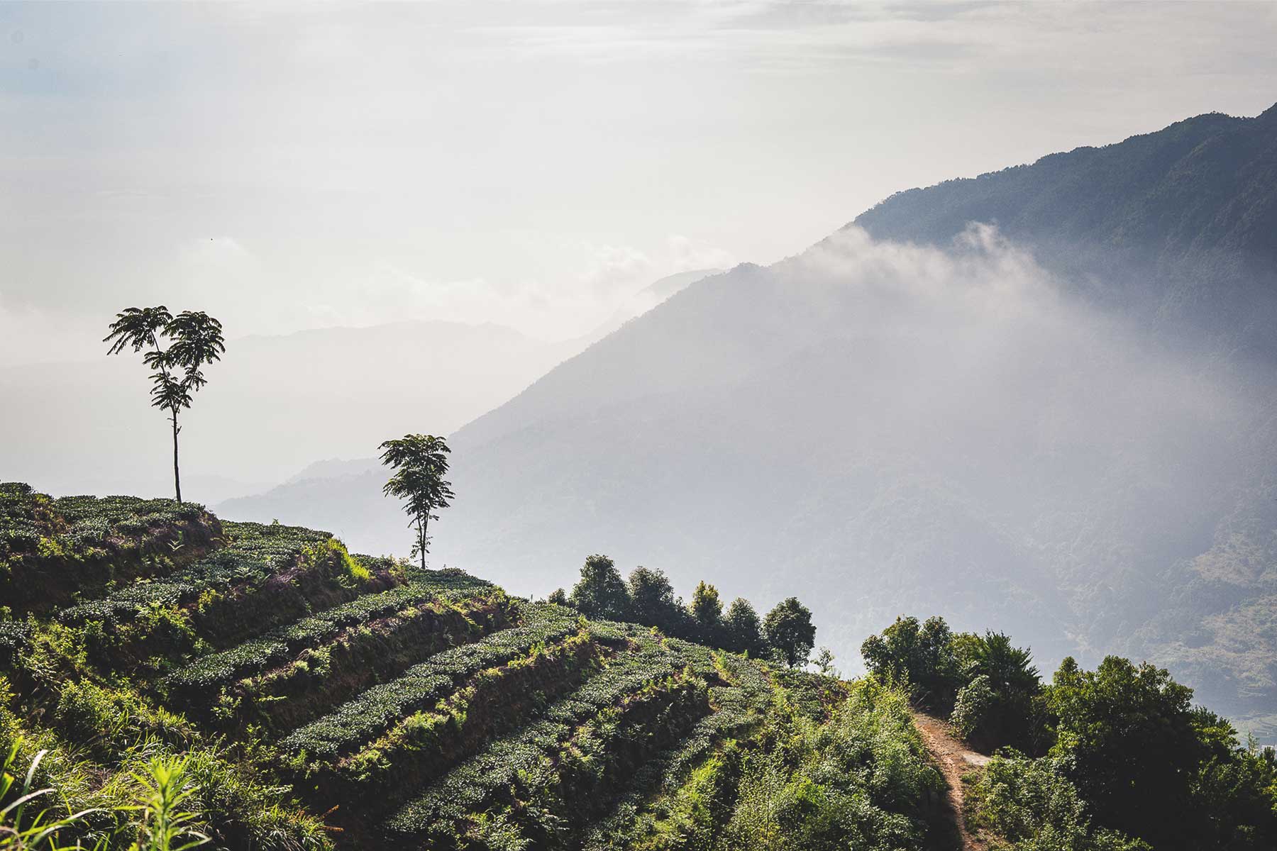 Welcome to Our Store